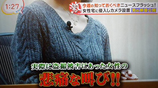 バイキング2.jpg